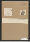 Amphipentas antillarum (Cleve) DeToni (de-Toni-Nr.: Genus 138, Species 3674) Zeichnungen Sammlung Grunow Nr. 7158 (NHMW-BOT-W0376131)